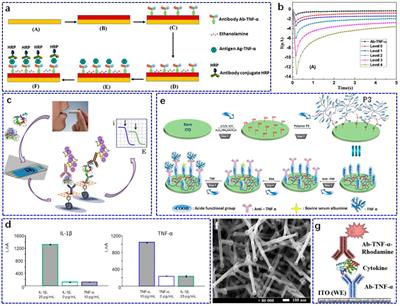 Non-Invasive Electrochemical Biosensors for TNF-α Cytokines Detection in Body Fluids